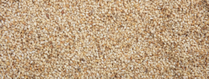 A bakery was recently cited for inadequate allergen controls related to sesame, and failure to comply with FSMA preventive control provisions and GMPs